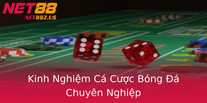 Kinh Nghiệm Cá Cược Bóng Đá Chuyên Nghiệp Kinh Nghiệm Cá Cược Bóng Đá Chuyên Nghiệp