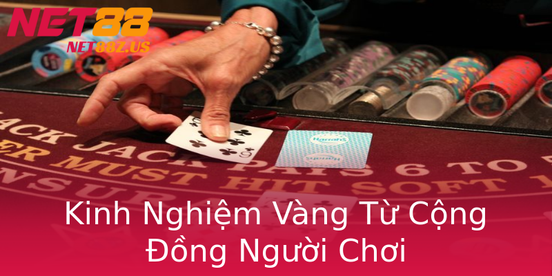 Kinh Nghiệm Vàng Từ Cộng Đồng Người Chơi Kinh Nghiệm Vàng Từ Cộng Đồng Người Chơi